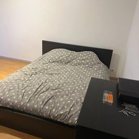 Studio A 2 Minutes De La Gare Appartamento Mulhouse Esterno foto