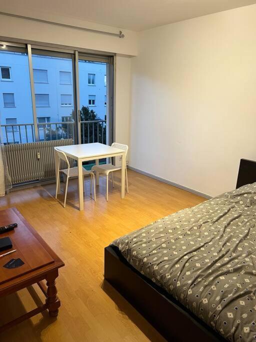 Studio A 2 Minutes De La Gare Appartamento Mulhouse Esterno foto